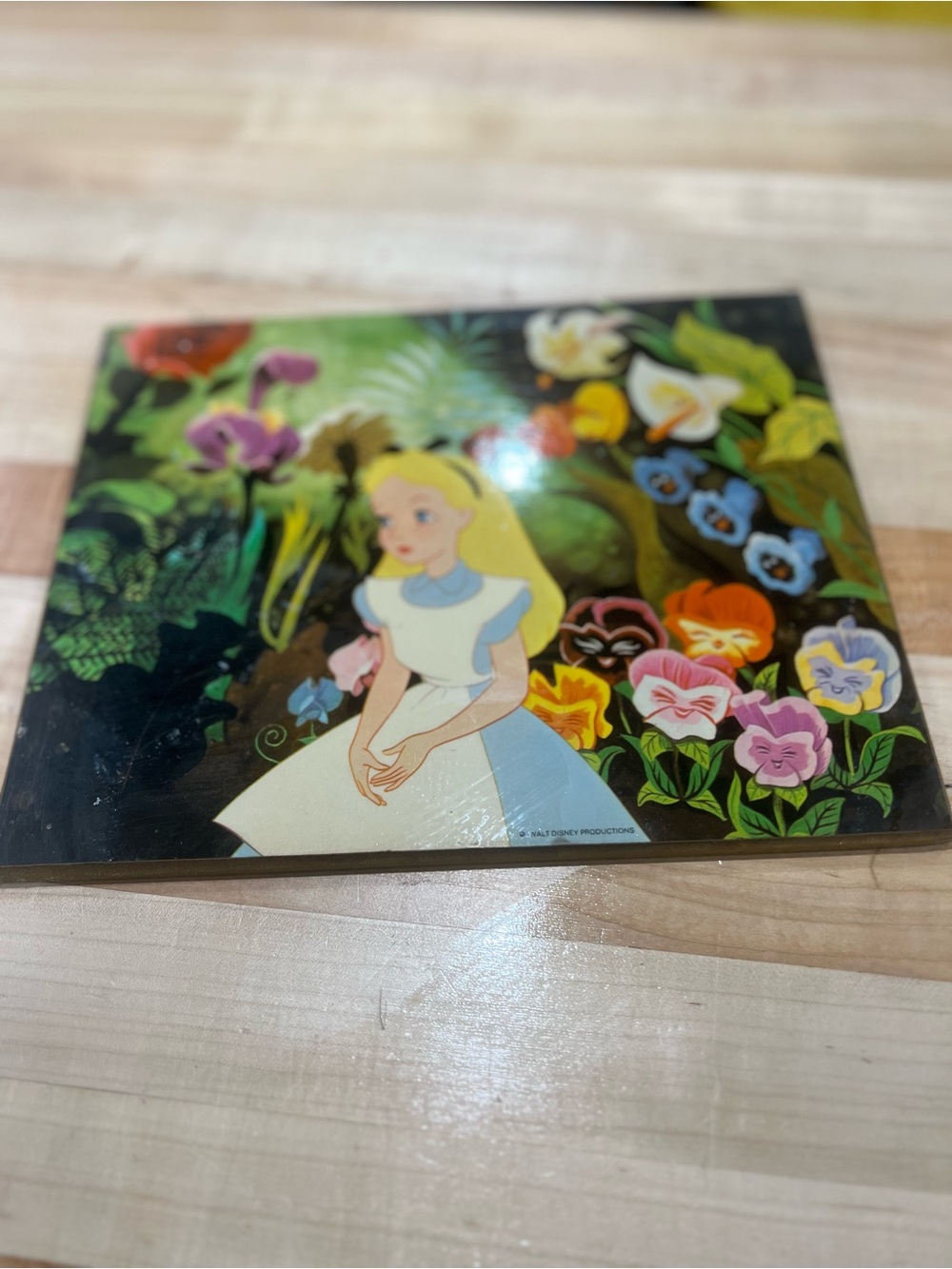 Walt Disney Productions Alice in Wonderland Floral Wood Hanging Frame 10x14